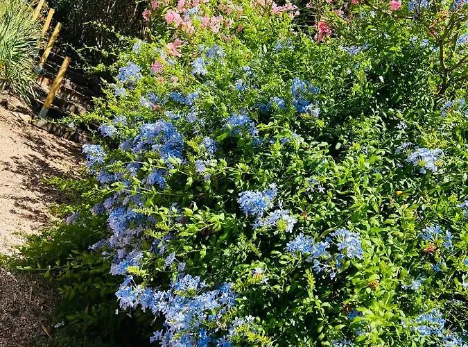 Plein Ciel Appartement
